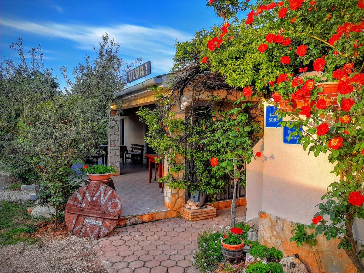 Viva Molindrio Apartment Poreč Exterior foto