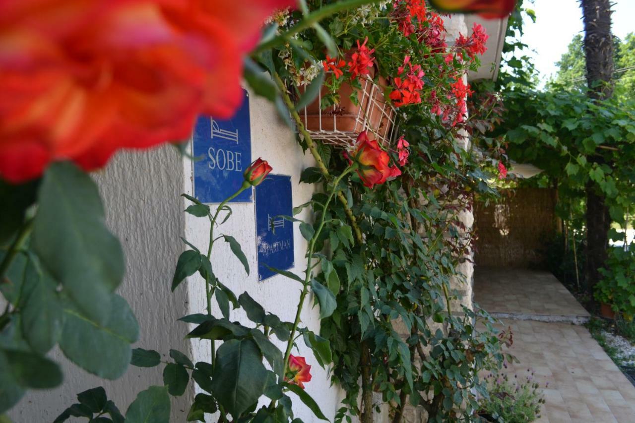 Viva Molindrio Apartment Poreč Exterior foto
