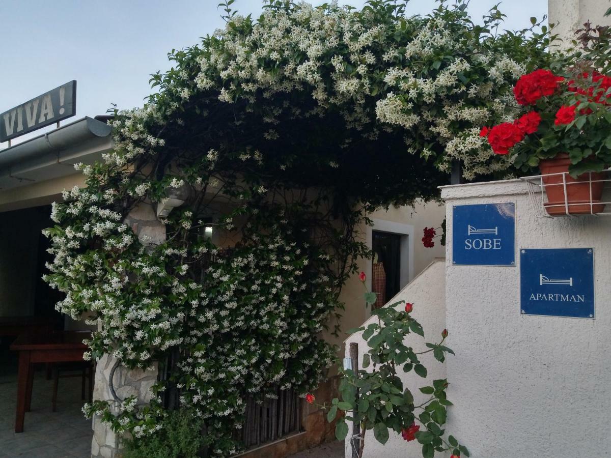 Viva Molindrio Apartment Poreč Exterior foto
